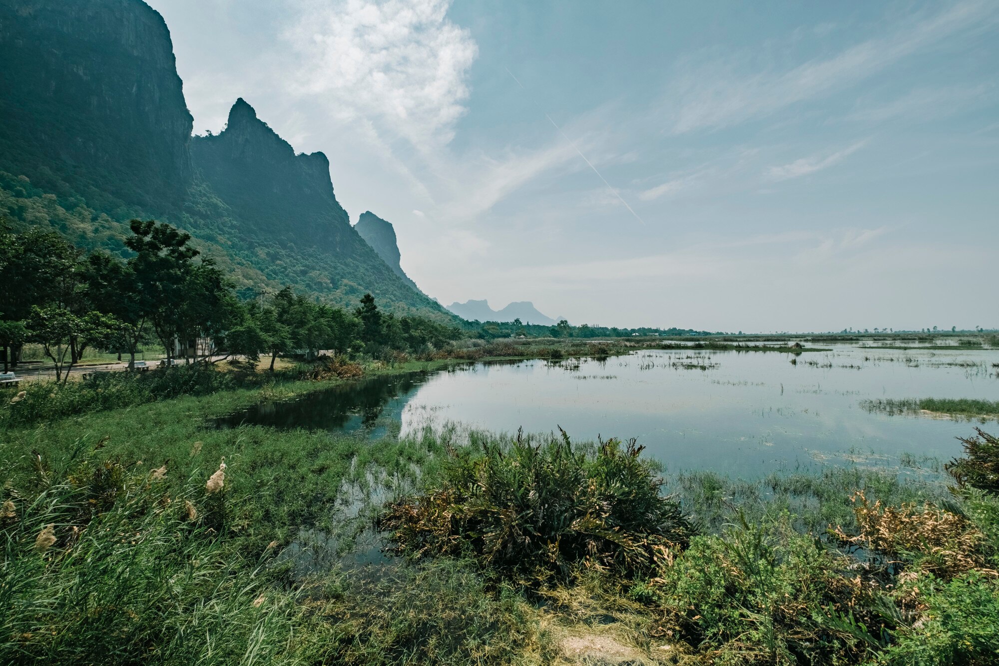 Nature landscape